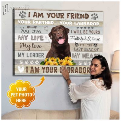 Custom Pet Photo