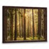 Hayooo Faux Window Canvas Gorgeous Green Forest With Sunlight Wall Art For Home Decor