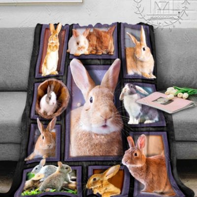 rabbit blanket