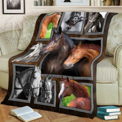 Horse Blanket