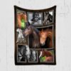 Horse Blanket