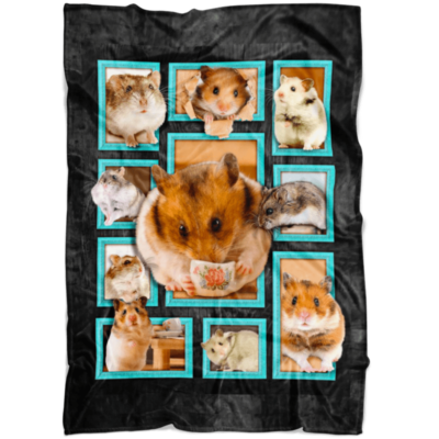 hamster blanket