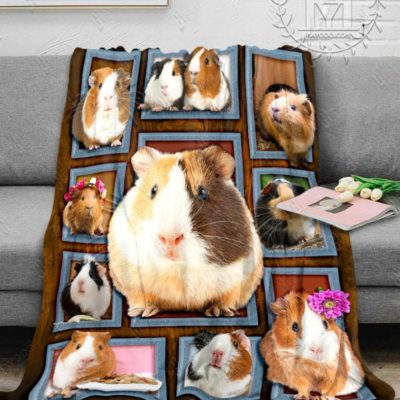 guinea pig blanket
