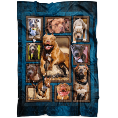 fleece-blanket-dog-cute-pit-bulls