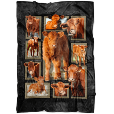 Red Angus Cattles Cow Blanket