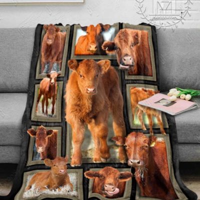 Red Angus Cattles Cow Blanket