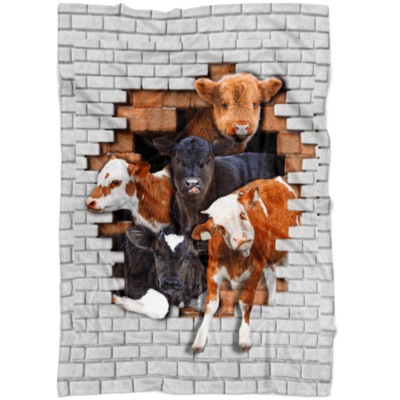 Cows From Broken Wall Blanket