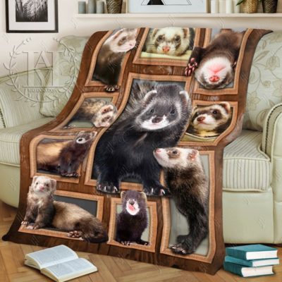 Cute Ferrets Blanket