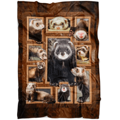 Cute Ferrets Blanket
