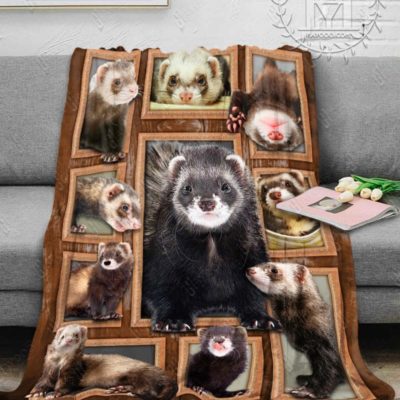 Cute Ferrets Blanket