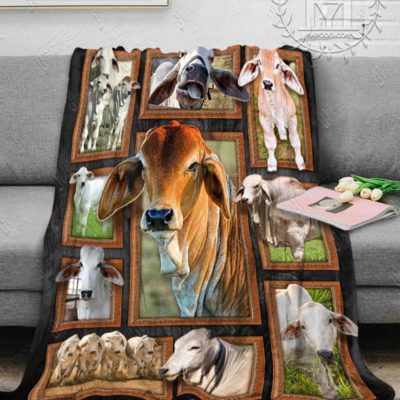 Cute Brahman Cattles Cow Blanket