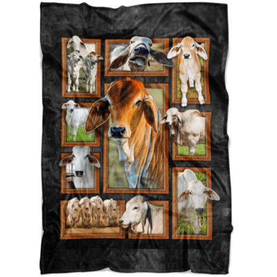 Cute Brahman Cattles Cow Blanket