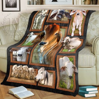 Cute Brahman Cattles Cow Blanket