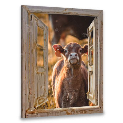 farm cow art