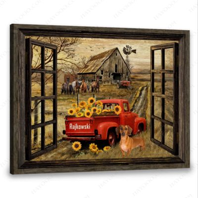 Hayooo Customer 1113b